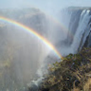 Meet your Posher, Dan